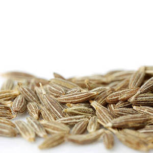Graines de Jeera entières indiennes pour les acheteurs internationaux en quête d'ingrédients aromatiques, prix de gros et approvisionnement fiable - Product Image 4