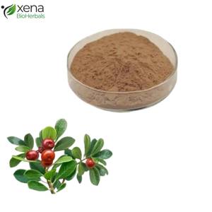 Proveedor Mayorista de Extracto de Gayuba en Polvo, Ingrediente Botánico Herbal, Suministro a Granel - Product Image 1