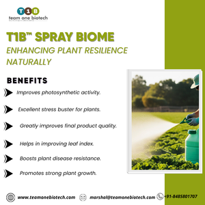 Beneficial Microbial <b>Spray</b> for Vegetable Yield Improvement - Product Image 4