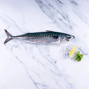 Pescado Fresco de Caballa de Alta Calidad, Pescado Entero Rico en Proteínas, Adecuado para Comidas Diarias y Dietas Saludables - Product Image 4