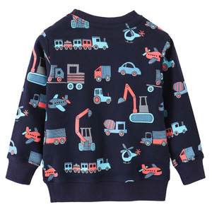 Sweat-shirts à capuche pour enfants en gros, collection automne, haute qualité, 100 % coton, pour garçons et filles, avec logo personnalisé, pull-over pour enfants - Product Image 2