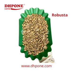 Venta al por Mayor con Descuento DHPONE Granos de Café Verde Robusta Procesados Limpios Café Tradicional Vietnamita de Alta Calidad Grado 1 ISO - Product Image 1