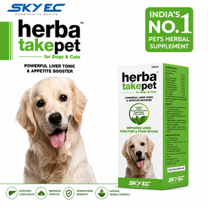 Herbatake Jarabe para Mascotas 100ml, Refuerzo del Apetito y Soporte Hepático para Perros/Gatos/Caballos - Extracto Herbal de Alpinia Galanga Foeniculum - Product Image 2