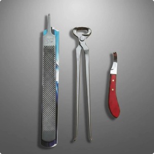 Kit d'outils de ferrage professionnel 4 pièces – Ensemble de coupe-ongles pour chevaux robuste pour ferriers - Product Image 2