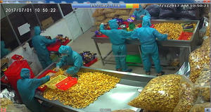 Fruta seca tropical de Jaca seca de Vietnam Cantidad a granel Precio de fábrica Sin azúcar Listo para exportar - Product Image 6