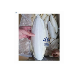 HOT Eco Cuttlefish Bone Natural Premium Calcium Source for <b>Bird</b> <b>Cage</b> Pet Products Wholesale Export Supply - Product Image 1