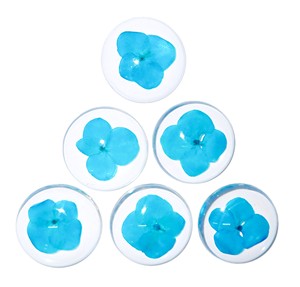 Flor de Violeta Persa, Espécimen Real en Plástico, Cabujón Redondo de 35x35 mm, Base Plana Transparente para Manualidades y Joyería - Product Image 5