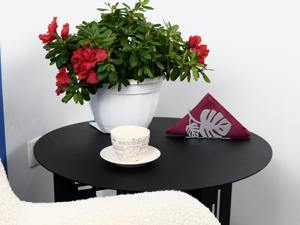 Organisateur de serviettes en acier inoxydable finition argentée, motif feuille inspiré de la nature, idéal pour les repas en extérieur sur patio et balcon, provenance Inde - Product Image 6