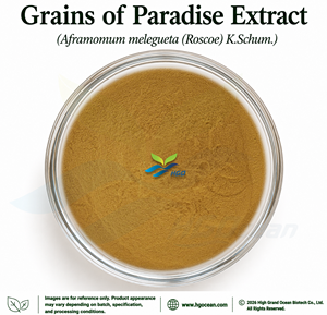 HGO Factory Direct Supply Grains of Paradise Extract (Aframomum melegueta (Roscoe) K.Schum.) Food Grade 4:1 5:1 10:1 20:1 100:1 - Product Image 1