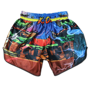 Shorts d'entraînement Muay Thai à taille élastique, légers, vêtements de sport, MMA, boxe, kickboxing, taille et design personnalisés - Product Image 3