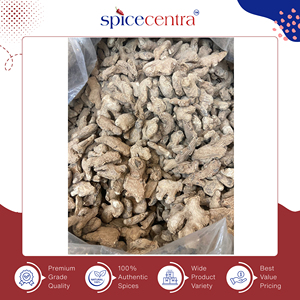 Grossiste mondial d'épices et d'herbes : Gingembre Tukadi du Maharashtra pur et biologique, fabriqué en Inde, en vente - Product Image 6
