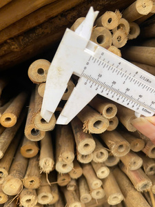 Paneles de Cerca de Bambú Naturales, Ecológicos, Resistentes al Agua para Exteriores, Varas de Bambú Crudo para Construcción, Económicos - Product Image 5