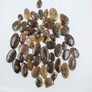 2025 Madagascar Naturel Ammonite Lâche Pierres Précieuses Cabochon Ovale Poire Forme Fantaisie Suture Modèles Anneaux Fabrication de Bijoux En Gros - Product Image 2