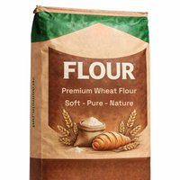 Sac vide en papier kraft biodégradable imprimé flexo avec bec verseur, qualité alimentaire, personnalisé, 10 kg, 25 kg, modèle JPT 04, pour amidon de tapioca et farine