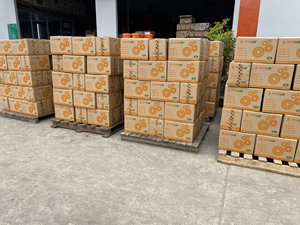 Fluido para Transmisión Automática ATF III 0,5L 1L Bidón 18L Tambor 200L Aceite Base con Modificadores de Fricción, Antidesgaste, Antioxidante - Product Image 2