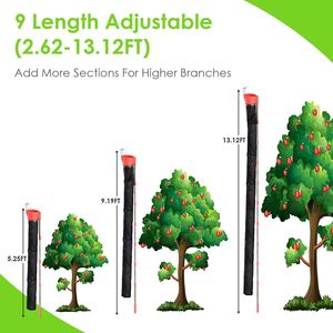 Asta Raccoglifrutta Rinforzata da 4,10 m con Sacco di Raccolta, Cesto e Imbuto per la Raccolta di Frutta ad Alta Portata - Product Image 4