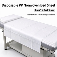 Draps d'examen jetables en PP non tissé, prédécoupés, pour table d'hôpital, clinique, salle de traitement, soins aux patients