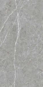 Carreaux muraux et de sol en porcelaine grise minimaliste moderne 600x1200mm, texture pierre mate, adhésifs, pour usage intérieur (hôtels et hôpitaux) - Product Image 4