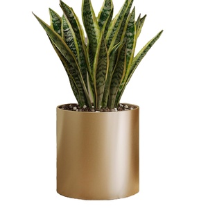 กระถางต้นไม้โลหะพร้อมรูระบายน้ำ กระถางแบบดั้งเดิมสำหรับปลูกต้นไม้ในร่มและกลางแจ้ง สำหรับตกแต่งโต๊ะ สีทองขัดเงา ทนทาน - Product Image 1