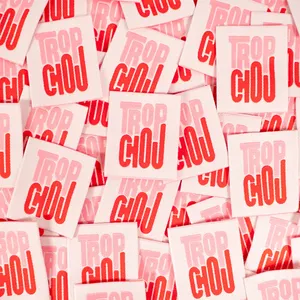 Etiquetas Tejidas Autoadhesivas para Ropa Trop Chou, Cuadradas, de Poliéster, Rojo y Rosa, con Borde Cortado a Calor, Lavables, Impresas por Transferencia Térmica - Product Image 1