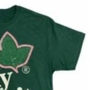   Camiseta con Estampado Inspirado, Verde, de Algodón, Manga Corta, Estilo Casual, para Mujer, Moda Urbana - Product Image 3