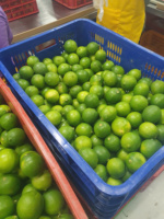 Verse Groene Vietnam Pitloze Kalk Voor Export Met Uniforme Grootte En Lange Houdbaarheid