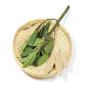 Premium 100% Natürliche Getrocknete Lorbeerblätter Großhandel Aromatische Indische Lorbeerblätter Reichhaltiger Geschmack 100% Rein Frisch 24 Monate Haltbarkeit - Product Image 1