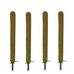 Poteau en coco naturel de 3 pieds (36 pouces) en fibre de coco pour plantes grimpantes - Product Image 2