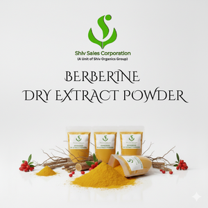 Extrait de plante dérivé de la berbérine en poudre sèche pour l'industrie nutraceutique et de bien-être commerciale - Product Image 6