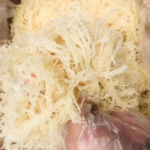 Échantillon Gratuit de Laver Doré-Violet Séché Biologique, Assaisonné et Aromatisé, Qualité Supérieure, Origine Vietnam, Marque Ms. Lily, en Sachet - Product Image 2