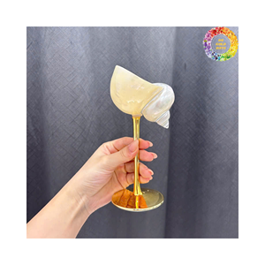 Copa de concha de Caracol natural/hermosas copas de vino de concha marina y Copa de concha/copa de Caracol distintiva Ideal para Bodas de lujo - Product Image 6