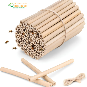 Tubo de Bambú de 10cm 15cm, Tamaño Personalizado, para Abejas e Insectos, Material Natural para Nidos, para Hotel de Abejas y Casa de Insectos, ECO2GO VIETNAM - Product Image 2