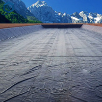 Géomembrane en polyéthylène testée qualité ISO CE, membrane HDPE, étanchéité, coût pour les réservoirs agricoles