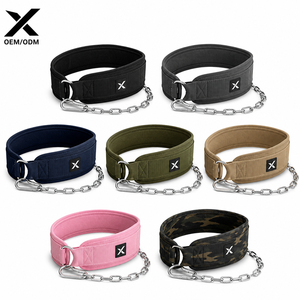 Custom Heavy Duty Nylon Dip <b>Belt</b> with Steel <b>Chain</b> Weight Lifting <b>Belt</b> Adjustable Gym Pull Up <b>Belt</b> OEM ODM Pakistan - Product Image 1