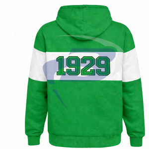 Sudadera con capucha de panel verde y blanco de Iota Phi Lambda Sorority para invierno, con diseño de bordado y ribete, ropa universitaria. - Product Image 2