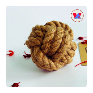 DISPONIBLE: Bolas de Coco a Granel para Masticar, Juguete Ecológico de Fibra de Coco para Mascotas, Esfera de Cáscara para Venta al por Mayor de Accesorios para Mascotas, Limpieza Dental y Molienda Molar - Product Image 6