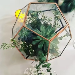 Stylish <b>Frame</b> Glass Metal Terrarium Planter Elegant Indoor <b>Plant</b> Holder Geometric Home Decor - Product Image 2