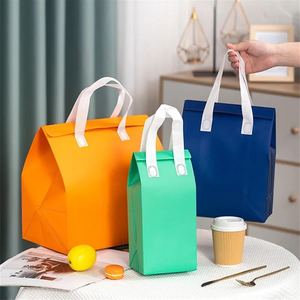 Insulated Lunch Bag PP Non-Woven Fabric With Handle Closure Food Storage Cooler Bag for Picnic, Milk Tea Fast Food Takeaway - Product Image 6