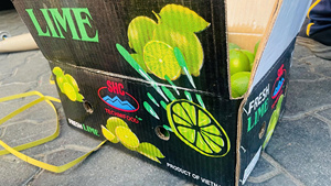 Citron vert frais du Vietnam – Peau vert vif, juteux et aromatique pour la vente en gros - Product Image 1