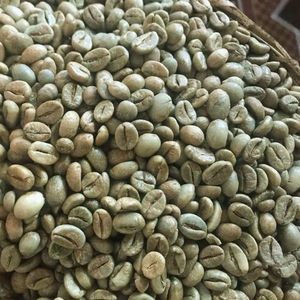 Granos de Café Verde Arábica de Primera Calidad de Vietnam, Grado G1/G2, Certificado ISO 22000, Tamaño 16, Certificado USDA, Venta Directa al por Mayor - Product Image 1