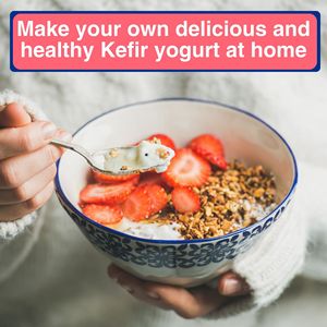 Culture de démarrage de kéfir Calcium + fabriquée au Japon pour la digestion, la santé des os et la force immunitaire avec certification GMP - Product Image 5