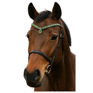 Brida de Cuero Premium para Caballo con Accesorios de Acero Inoxidable |   Equipo Ecuestre de Carreras Personalizado, Logotipo Personalizado, Color Personalizado, Alta Calidad - Product Image 1