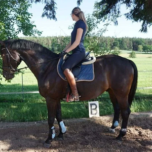 Pantalones de equitación para mujer, leggings de silicona para montar a caballo, pantalones de equitación, ropa de equitación femenina - Product Image 5