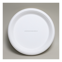 Assiette jetable en bagasse de qualité supérieure, écologique, compatible micro-ondes, non toxique, pour plats à emporter, traiteur, événements extérieurs, compartiment uni