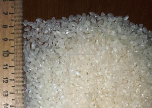Arroz Japonés Aromático de Grano Largo Koshihikari para Sushi, Arroz Duro y Pegajoso, Textura Cocida, Seco, 1% de Grano Partido |   Calidad de la UE LINDA - Product Image 4