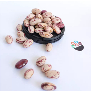 Light Speckled Kidney <b>Beans</b> For Sale Sugar <b>Beans</b> - Product Image 1