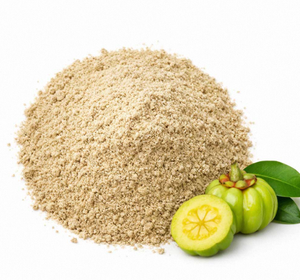 Highest Selling Pure 99% Hca Garcinia Cambogia Fruit Extract Powder at <b>Best</b> Price Cambogia Extract Powder - Product Image 2