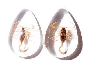 Cabochon Golden Scorpion Pear Shape Cut <b>Top</b> 25x17 mm White Flat Bottom for Crafts and Jewelry Making - Product Image 1