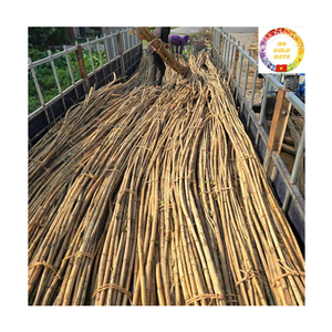 Raw Rattan <b>Poles</b> | Wholesale Natural Cane Vietnam Export Quality <b>for</b> Furniture & <b>Garden</b> - Product Image 1