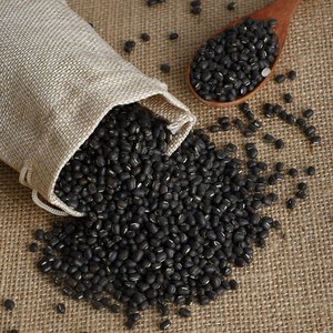 Lentilles noires Urad Dal riches en protéines et en fibres pour les préparations d'Idli et de Dosa, durée de conservation de 24 mois - Product Image 3